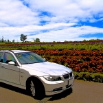 Painting of 335i Touring