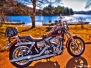 Dyna_Low_Rider