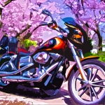 Look'n forward to cherry blossoms