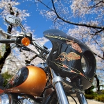 Smelling blossoms