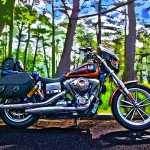 Camping pleasure