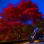 Crimson color was there