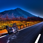 A Long Way Home