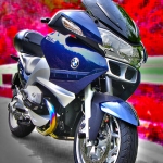 Longing for Red Cannna