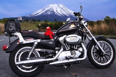 Sportster